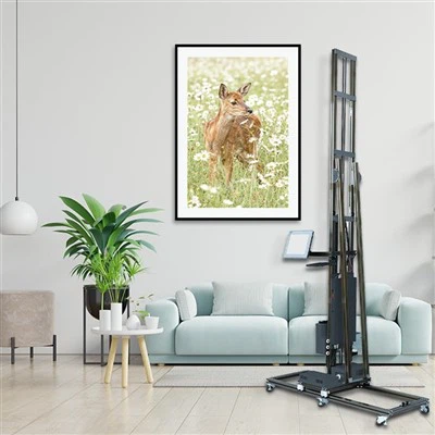 TPP1000 3D Вертикальный настенный УФ-струйный принтер с направляющей